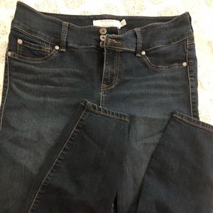 Torrid Skinny Jeans